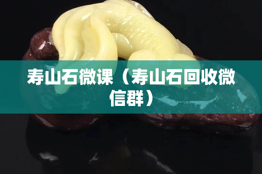 壽山石微課（壽山石回收微信群）