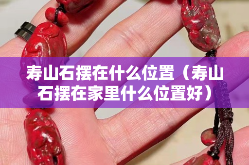 壽山石擺在什么位置（壽山石擺在家里什么位置好）