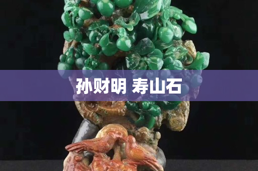 孫財(cái)明 壽山石