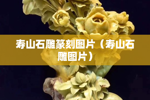 壽山石雕篆刻圖片（壽山石雕圖片）