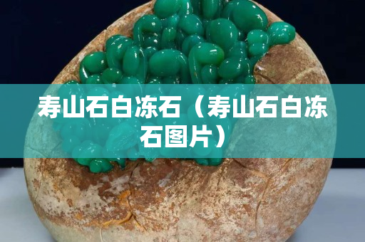 壽山石白凍石（壽山石白凍石圖片）