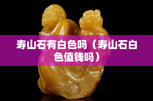 壽山石有白色嗎（壽山石白色值錢嗎）