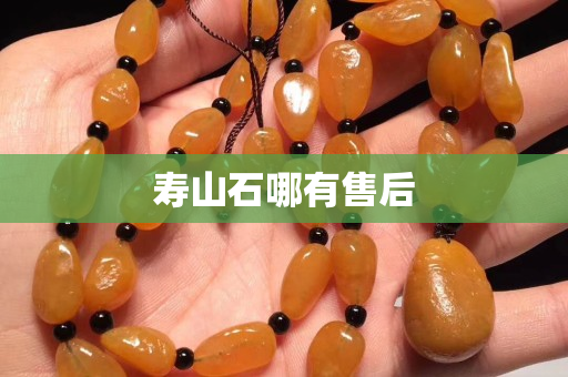 壽山石哪有售后