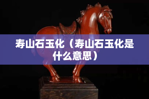壽山石玉化（壽山石玉化是什么意思）