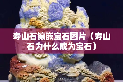 壽山石鑲嵌寶石圖片（壽山石為什么成為寶石）