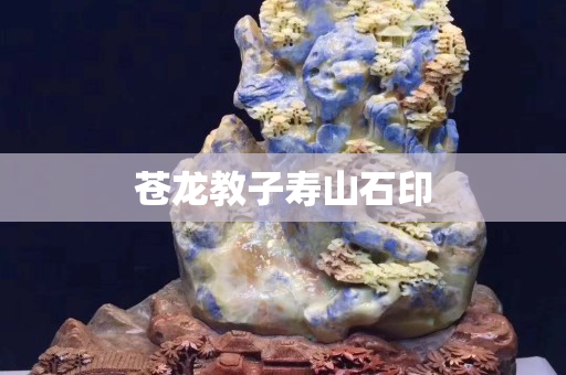 蒼龍教子壽山石印