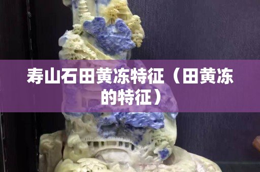 壽山石田黃凍特征（田黃凍的特征）