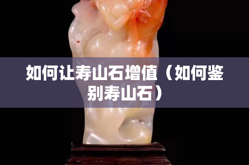 如何讓壽山石增值（如何鑒別壽山石）