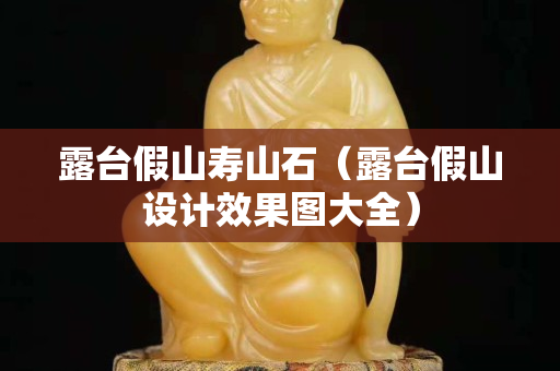 露臺假山壽山石（露臺假山設(shè)計效果圖大全）