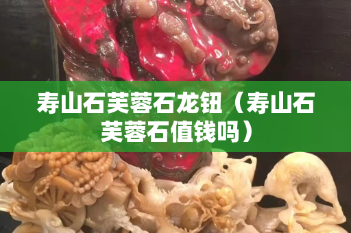 壽山石芙蓉石龍鈕（壽山石芙蓉石值錢嗎）