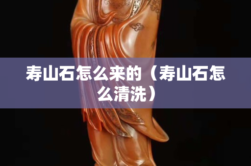 壽山石怎么來的（壽山石怎么清洗）