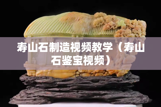 壽山石制造視頻教學（壽山石鑒寶視頻）