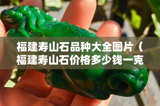 福建壽山石品種大全圖片（福建壽山石價格多少錢一克）