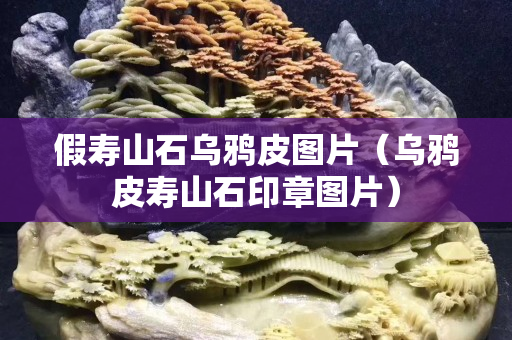 假壽山石烏鴉皮圖片（烏鴉皮壽山石印章圖片）