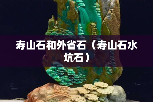 壽山石和外省石（壽山石水坑石）