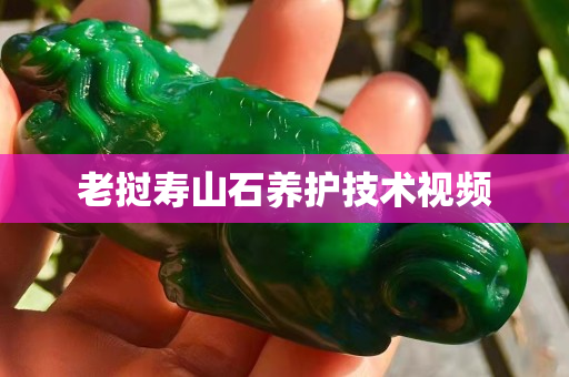 老撾壽山石養(yǎng)護(hù)技術(shù)視頻