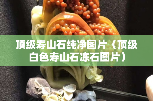 頂級壽山石純凈圖片（頂級白色壽山石凍石圖片）