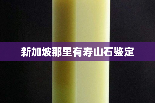 新加坡那里有壽山石鑒定