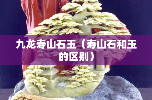 九龍壽山石玉（壽山石和玉的區別）