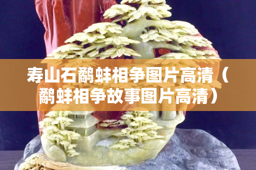 壽山石鷸蚌相爭圖片高清（鷸蚌相爭故事圖片高清）