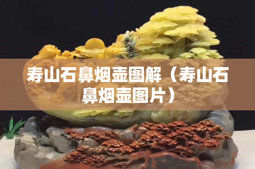 壽山石鼻煙壺圖解（壽山石鼻煙壺圖片）