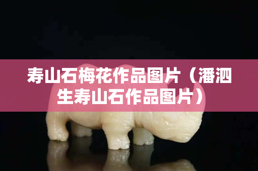 壽山石梅花作品圖片（潘泗生壽山石作品圖片）