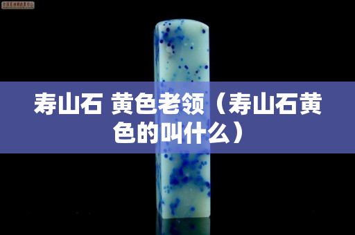 壽山石 黃色老領(lǐng)（壽山石黃色的叫什么）
