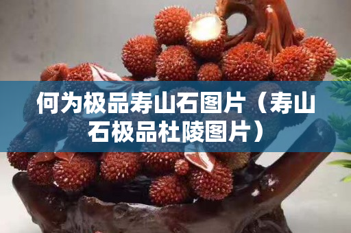 何為極品壽山石圖片（壽山石極品杜陵圖片）