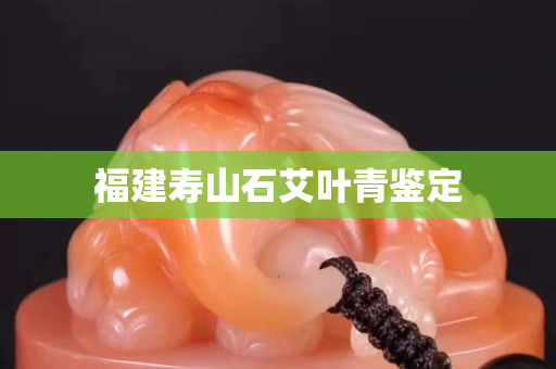 福建壽山石艾葉青鑒定