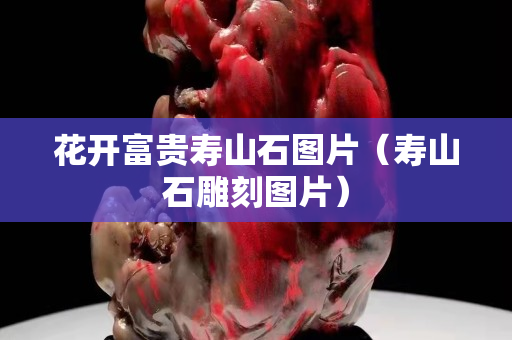 花開富貴壽山石圖片（壽山石雕刻圖片）