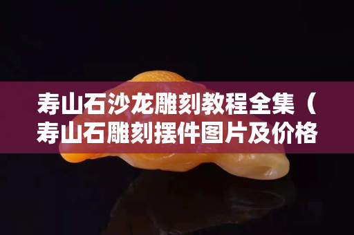 壽山石沙龍雕刻教程全集（壽山石雕刻擺件圖片及價格）