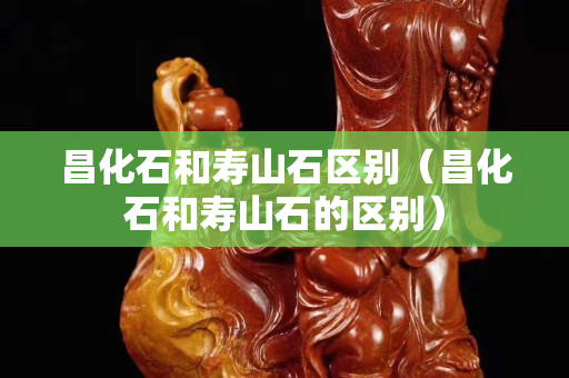 昌化石和壽山石區別（昌化石和壽山石的區別）