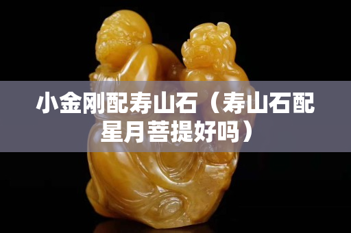 小金剛配壽山石（壽山石配星月菩提好嗎）