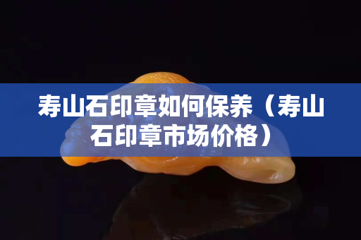 壽山石印章如何保養（壽山石印章市場價格）