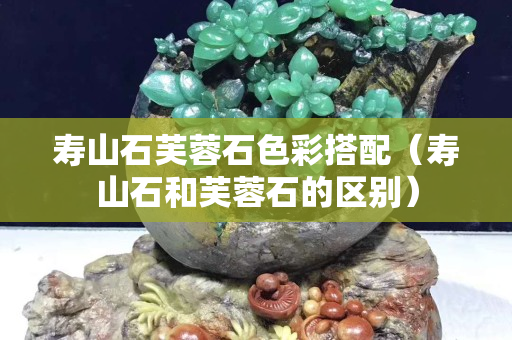 壽山石芙蓉石色彩搭配（壽山石和芙蓉石的區別）