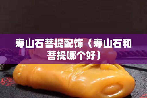 壽山石菩提配飾（壽山石和菩提哪個好）