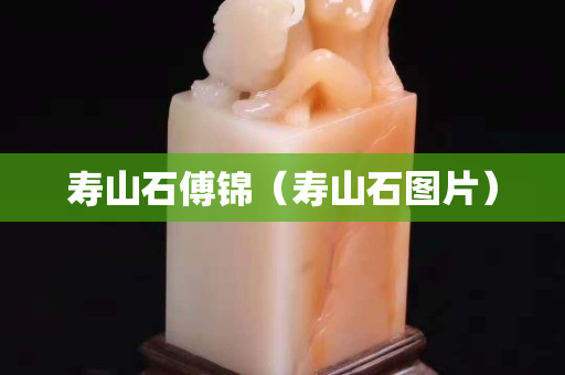 壽山石傅錦（壽山石圖片）