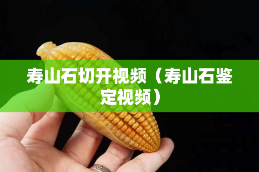 壽山石切開視頻（壽山石鑒定視頻）