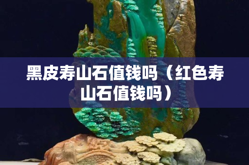 黑皮壽山石值錢嗎（紅色壽山石值錢嗎）
