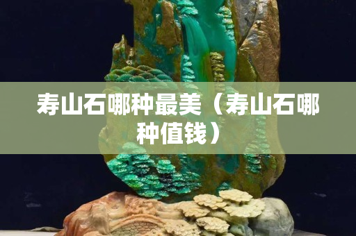 壽山石哪種最美（壽山石哪種值錢）