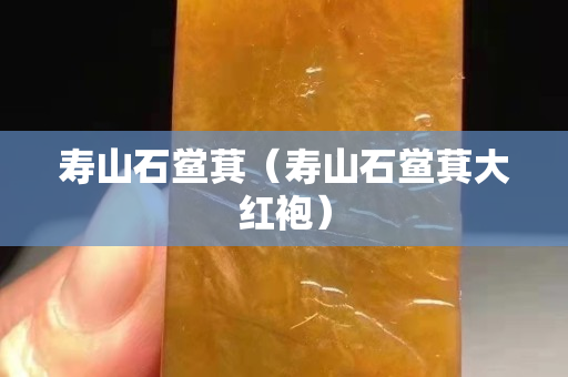 壽山石鱟萁（壽山石鱟萁大紅袍）