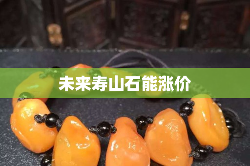 未來壽山石能漲價