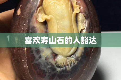 喜歡壽山石的人豁達