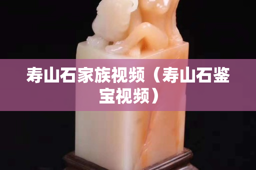 壽山石家族視頻（壽山石鑒寶視頻）