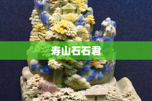 壽山石石君