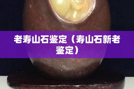 老壽山石鑒定（壽山石新老鑒定）
