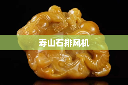 壽山石排風機