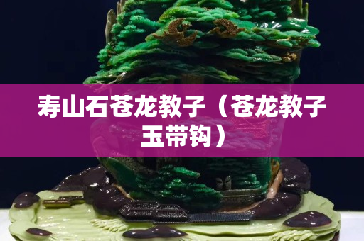 壽山石蒼龍教子（蒼龍教子玉帶鉤）
