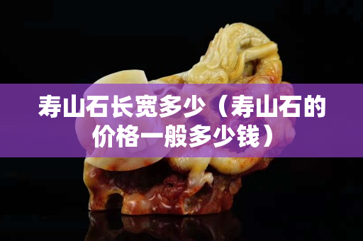 壽山石長寬多少（壽山石的價格一般多少錢）