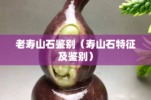 老壽山石鑒別（壽山石特征及鑒別）